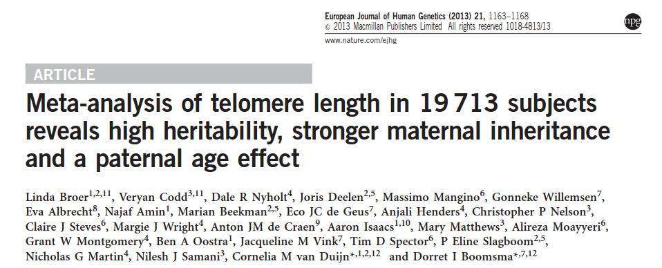 Telomeeripituus selittyy 70%:sti geneettisillä tekijöillä Äidin telomeeripituuden yhteys jälkeläisen telomeeripituuteen oli suurempi (r=0.