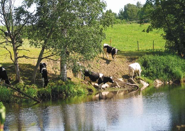 Johanna Kullas Kokemäenjoen-Saaristomeren- Selkämeren vesienhoitoalue Kokemäenjoen-Saaristomeren -Selkämeren vesienhoitoalueeseen kuuluu vesiä Varsinais-Suomesta, Satakunnasta, Hämeestä,