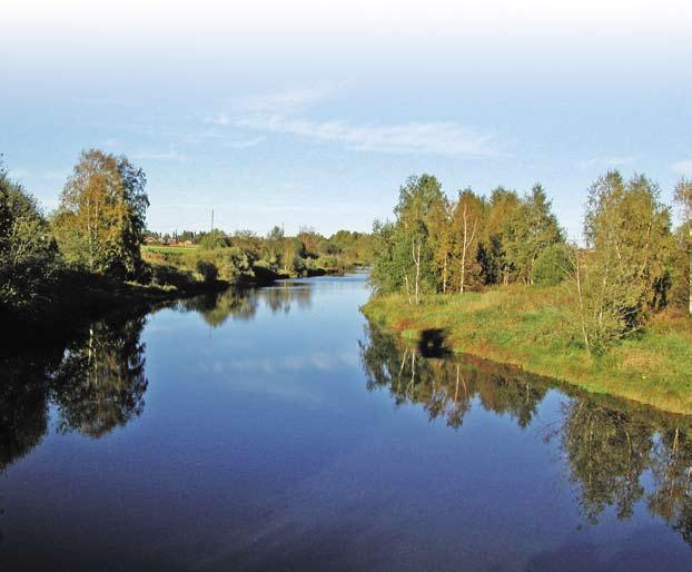 Närpiönjoki Närpiönjoki on keskikokoinen, luontaisesti humuspitoinen joki, joka virtaa Jurvan ja Närpiön läpi. Joen valuma-alue on 1000 km 2 Ja sen kokonaispituus on 75 km.