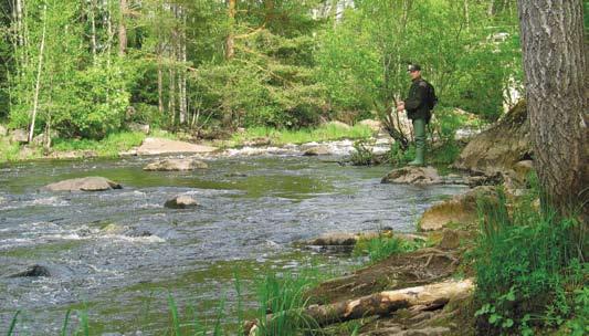 Eeva Nuotio: Merikarvianjoki Karvianjoki Karvianjoen alueeseen kuuluu Karvianjoen vesistöalueen lisäksi Selkämeren rannikon pieniä valuma-alueita, kuten Kasalanjoen valuma-alue.