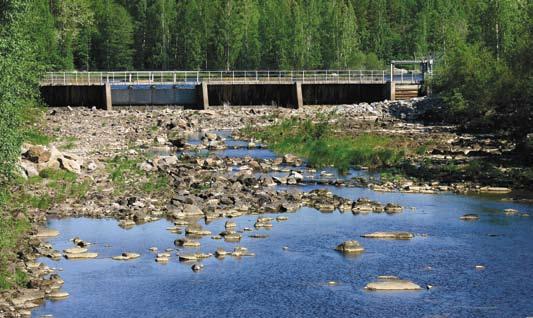 Arto Paananen: Siuronkosken voimalaitos Ikaalisten reitti ja Jämijärvi Ikaalisten reitin vesistöalue on merkittävä alue Pirkanmaalla. Se sijaitsee 10 kunnan alueella.