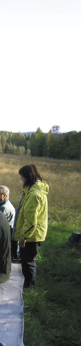 Metsäntutkimus 1/2008 Metla/Leena Kärkkäinen Suomen ensimmäinen paikallinen metsäohjelma valmistui joulukuussa 2007.