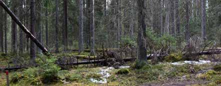 15 Kehitystä kuvaavat mittarit ha 180 175 170 165 160 155 150 145 1,29 157 Suojellut luontotyypit ja luonnonsuojelualueet 1,36 1,37 1,37 1,41 165 166 166 Vuoden 2016 lopussa Riihimäellä oli yhteensä