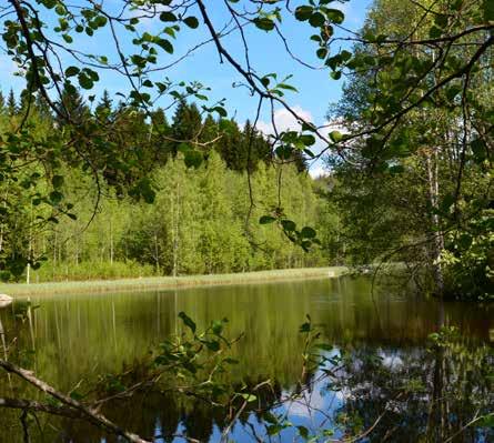 7 Sanasto Ympäristöpolitiikka Koko kaupungin ja kaikkien sen hallintokuntien ympäristönsuojelutyötä ohjaava sitoumus.