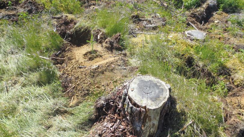 2 METSÄNUUDISTAMINEN Mättäät tehdään kohtiin, joissa ei ole häiritseviä kiviä, kantoja, hakkuutähteitä tai muita pintaesteitä. Tarvittaessa hakkuutähteet työnnetään syrjään istutuslaitteella.