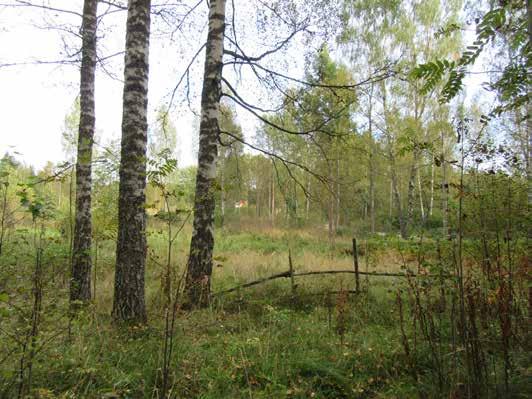 ALUEEN YLEISKUVAUS KULTTUURIHISTORIA LUONTOARVOT Uutelan niemi on Helsingin tärkeimpiä yhtenäisiä luonnonmukaisia virkistysalueita.