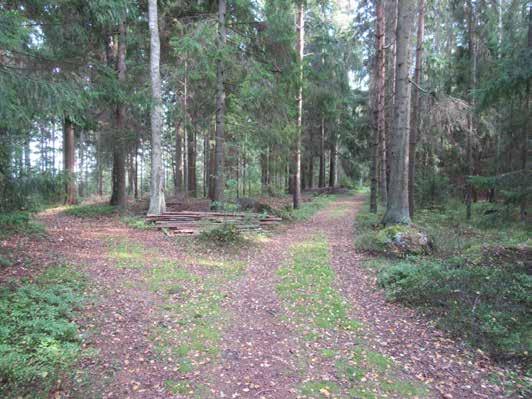 Alue 5 Maisemarakenne ja maisemakuva: Pieni metsäinen selänne, jossa on kallioinen lakialue.