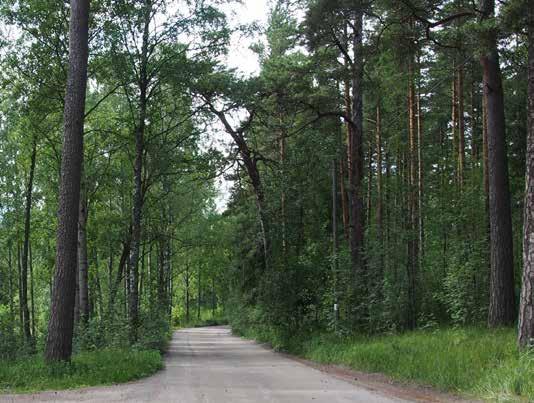 Maiseman erityispiirteet: Jyrkät kallioseinämät, lakialueiden avokalliot, havupuuvaltainen puusto. Näkymät alueen itäreunan kalliojyrkänteen päältä golfkentän yli merelle.