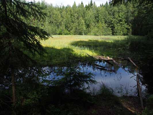 : Kallioisen metsäalueen luonto- ja virkistysarvot säilytetään. Uutelan nevalla ja muilla soistuneilla alueilla tavoitteena on säilyttää luonnontilainen suokasvillisuus ja puusto.