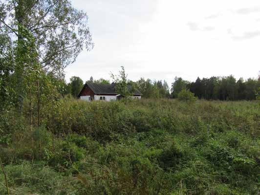 Alue 6 Maisemarakenne ja maisemakuva: Sormimaisesti haaroittuva, osin avoin ja osin umpeutunut laaksokokonaisuus, jota reunustavat pitkänomaiset kallioiset metsäselänteet.