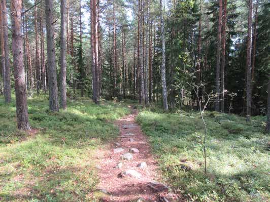 Alue 8 Maisemarakenne ja maisemakuva: Nuottasaari sekä Uutelan länsi- ja eteläosien rantavyöhyke, jossa on sekä jyrkkäpiirteisiä että alavia osuuksia.