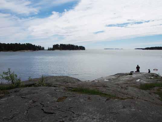 Alue 9 Maisemarakenne ja maisemakuva: Pohjois-eteläsuuntainen havumetsävaltainen ja osin kallioinen selänne, joka rajaa viljelypalsta-alueen laaksoa ja Pitkälahden poukamaa.