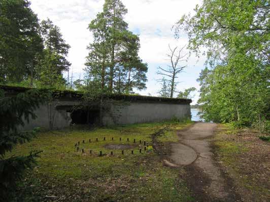 Pitkälahden rannat ovat osin ruovikkoisia. Niemen kärjestä avautuvat pitkät ja laajat näkymät Skatanselälle ja Vuosaarenselälle.
