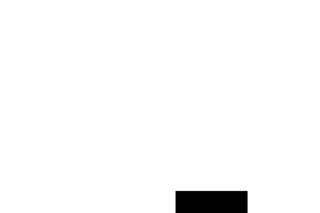 PISARAN