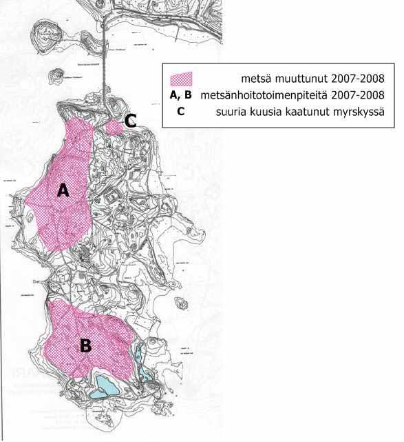 Pääosa hoitotoimenpiteistä oli tehty vuonna 2008, eli lepakot kohtasivat ensimmäistä kertaa uudet olosuhteet palattuaan aikaisemmille alueilleen kesällä 2009. Kartta 5.