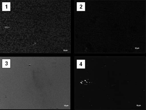 KUVA 9. Yhteenveto hydrogeeleistä. 1. Fibronektiini 1000 µg/ml. 2.