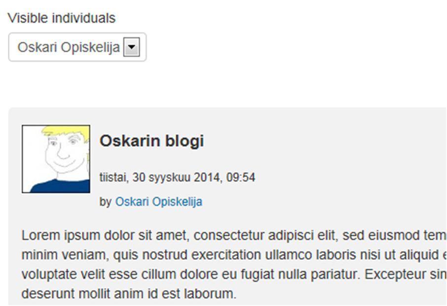 Opiskelija voi editoida ja poistaa oman kirjoituksensa ja kommentoida, jos se on blogin asetuksista sallittua.