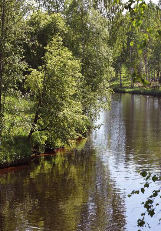 Traktoriurakointi puhutti myös Farmarissa Farmari-maaseutunäyttely järjestettiin tällä kertaa jo kesäkuussa, viikkoa ennen juhannusta. Säät suosivat Seinäjoella pidettyä nelipäiväistä tapahtumaa.