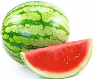MELONEJA MONEEN