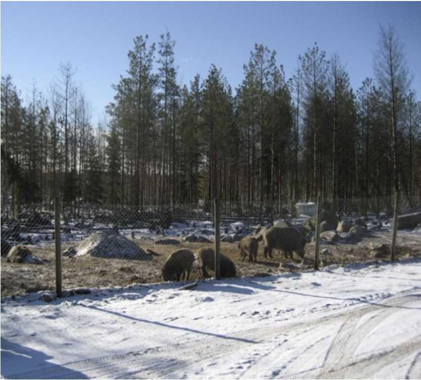 Lisäksi hankealueen lounaispuolella vajaan kilometrin etäisyydellä sijaitsee