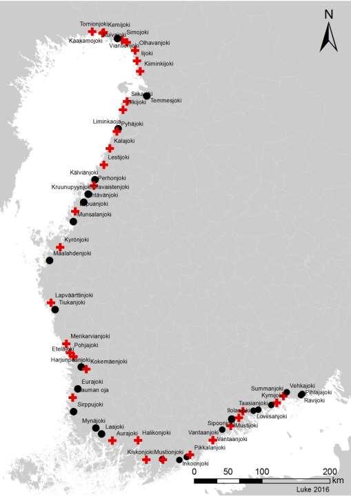 Yhteensä 60 jokea kartoitettu 33 joessa havaittu