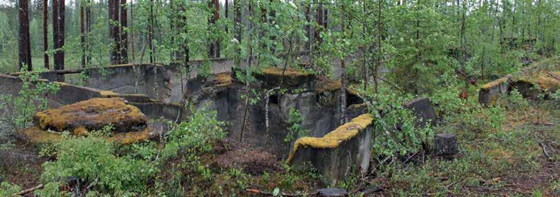 jääkäripataljoona kunnioitti veteraanien