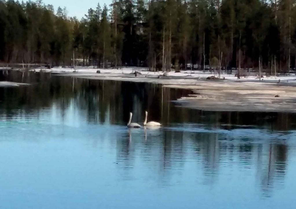 Sodankylän Sotilaskotiyhdistys ry. Army North -17 Yhdessä alusta loppuun Teksti ja kuvat: Leena Klemi-Lohiniva Sanotaan ettei vapaaehtoisyössä ole enää vetovoimaa, sanotaan, ettei se kannata.