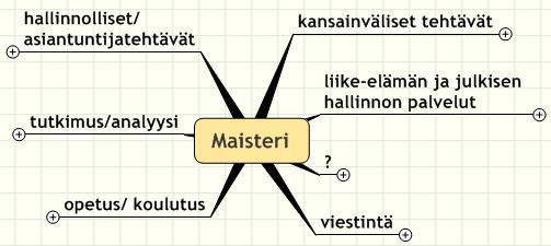 Opinnoissa syntyviä työelämätaitoja (oman alan eli substanssituntemuksen ohella) Tietotekniikkataidot tekstinkäsittely, taulukot, www-suunnittelu, käytettävyys Kielitaito ja kulttuurituntemus osana