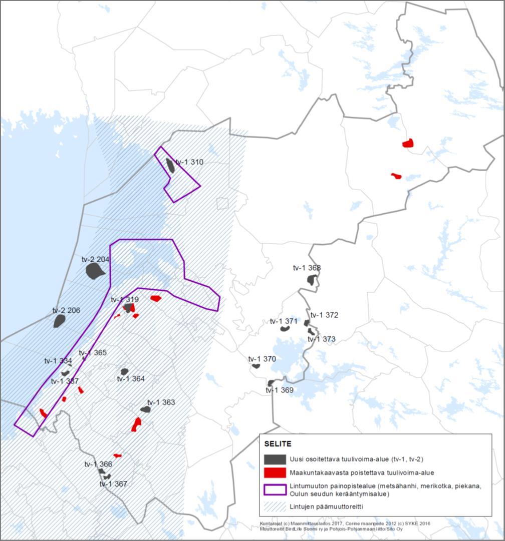 Kuva 9. Vaihemaakuntakaavassa käsiteltävien alueiden sijoittuminen suhteessa Pohjanlahden rannikon muuttoreitteihin.