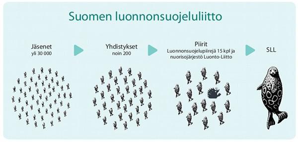 Espoon ympäristöyhdistys on Suomen luonnonsuojeluliiton