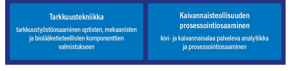 Teknologiat ja materiaalit kokonaisuudessa huippuosaaminen on korkeatasoista mutta kriittistä massaa vaikea saavuttaa.