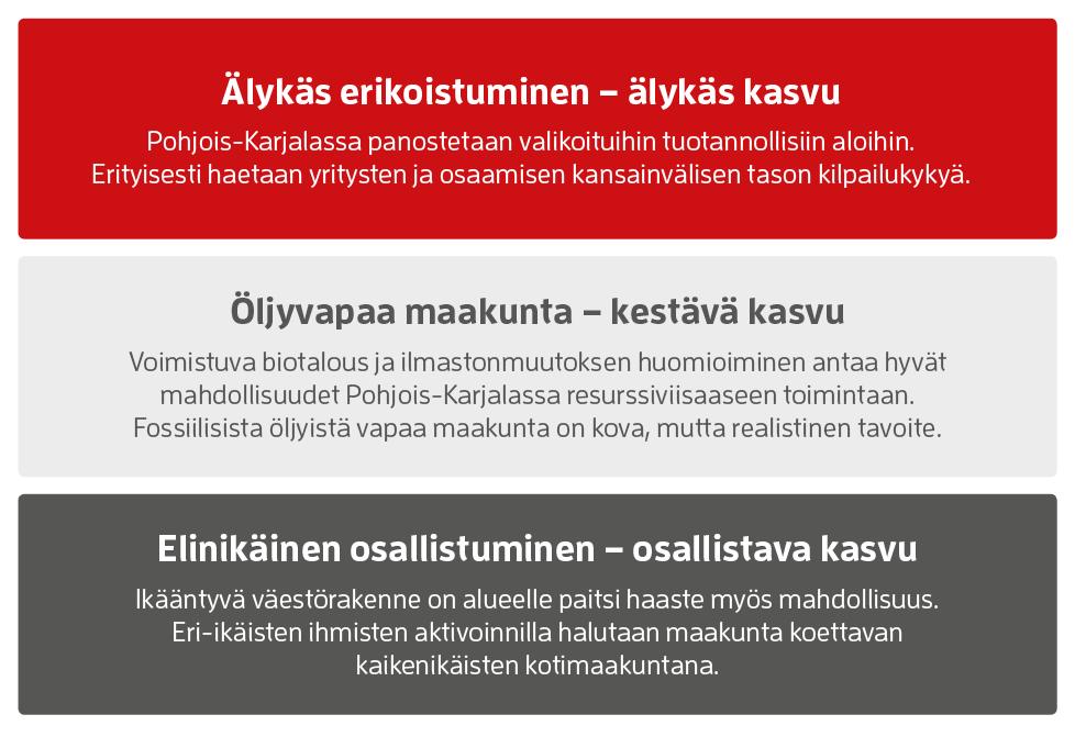 8. POKAT 2021 visio Maakuntaohjelman painopisteet ovat yhteinen tahdonilmaus siitä, miten kehitetään Pohjois-Karjalaan elinvoimaa, työtä ja hyvinvointia.