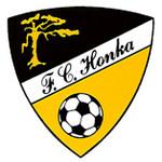 FC HONKA ry STRATEGIAPROJEKTI 2014 TIEDONKERUUKYSELYN SATOA 4.6.2014 1.