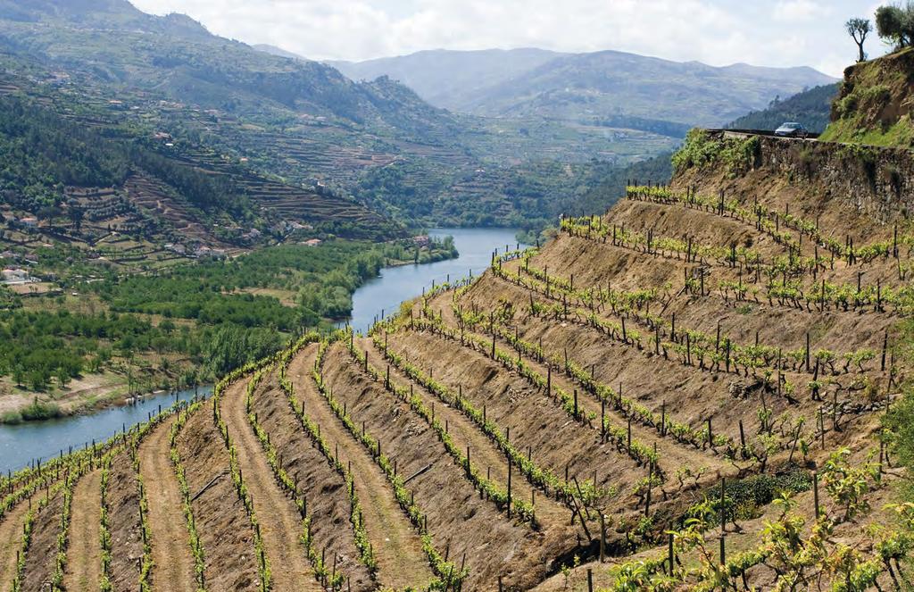 PORTUGALI PORTUGALI Anselmo Mendes Anselmo Mendes lukeutuu portugalilaisten viinintekijöiden kärkeen tuottaen laadukkaita Vinho Verde -viinejä.