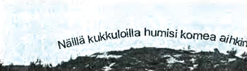 Jalot lehtipuut joutuivat peräytymään ilmaston vähitellen viiletessä ja tekemään tilaa kuuselle, joka alkoi levitä idästä Suomeen noin 5 000 vuotta sitten saavuttaen nykyisen levinneisyysrajansa 3