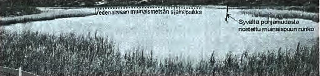 ). Lisääntyneet sateet ilmaston viilenemisen myötä johtivat pieneksi jääkaudeksi nimettyyn ilmastovaiheeseen (1560-1830). Viime vuosisata oli vaihteleva.
