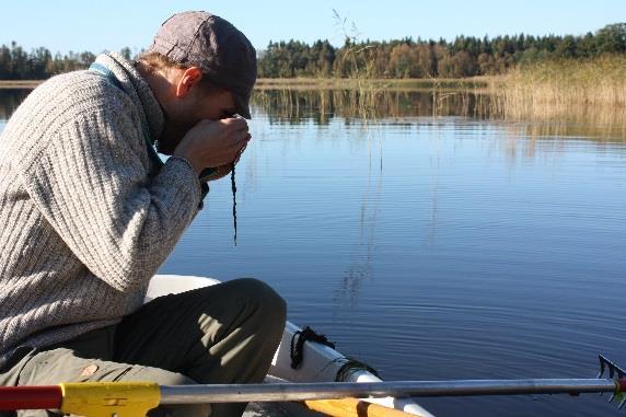 Muuta toimintaa Alueellinen vesiensuojelu- ja vesihuolto yhteistyöryhmä Kunnat, ELY-keskus, yhdistyksiä. Kokous 2 krt vuodessa.