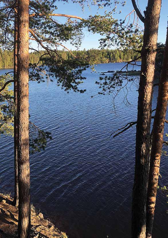 Suomen teologinen instituutti on toiminut kohta 30 vuotta.