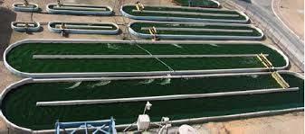 ccres aquaponics.blogspot.