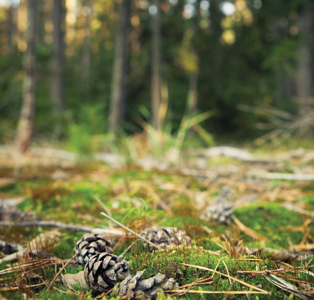 IMATRAN LÄMPÖ OY Imatran Lämpö Oy vastaa asiakaslähtöisesti Imatran kaupungin omistamana osakeyhtiönä kaukolämpö- ja maakaasutoiminnoista käyttämällä, ylläpitämällä, suunnittelemalla ja rakentamalla