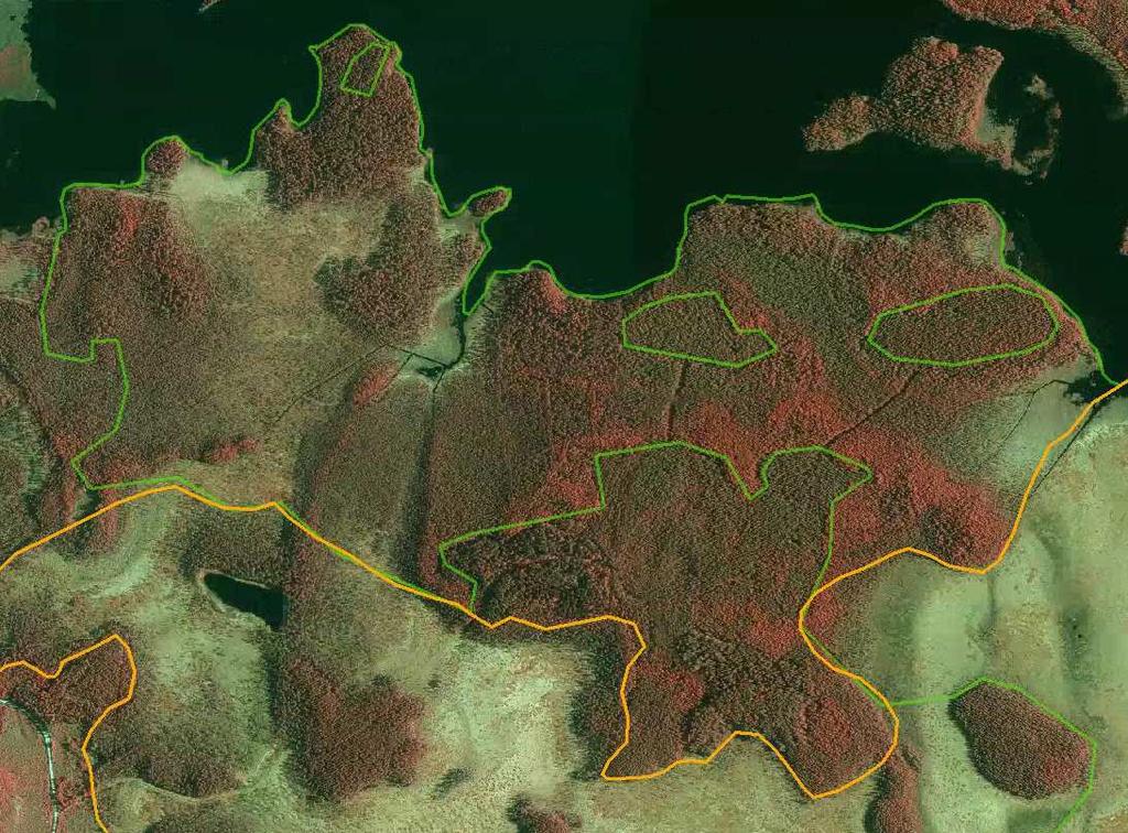 Koivuluhdansuon (Viitasuon luonnonsuojelualueen) ja Viitasuon Natura-alueen soiden ennallistamissuunnitelma Maarit