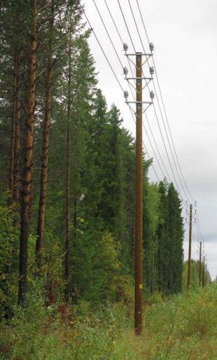 Sähkönsiirto Tuulivoimapuiston sähköntuotanto siirretään keskijännitteellä (20 tai 30 kv ilmajohto) Tornionjokilaakson Sähkö Oy:n 110 kv johdolle, mihin rakennetaan sähköasema tuulipuiston
