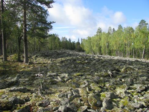 Luonto Lähimmät Natura 2000 -alueet: Hurujärvi Iso-Mustajärvi FI 130 1909 (SCI ja SPA) Pesivän linnuston perusteella järvet ovat valtakunnallisesti arvokkaita lintuvesiä ja niillä on myös kohtalainen