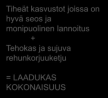 Kuiva-aine, g/kg 262 D-arvo, g/kg ka 685 Raakavalkuainen, g/kg ka 172 Kuitu, g/kg ka 456 Sulamaton kuitu, g/kg ka 54 Tuhka, g/kg ka 82 Rehuarvot ME, MJ/kg ka 10,99 OIV, g/kg ka 91 PVT, g/kg ka 39