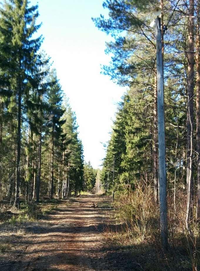 18 (45) 5.1.1 Karjalahden kuntorata Karjalahden kuntorata on noin kilometrin pituinen rata (kuva 6). Pylväsväli radalla on noin 36 m.