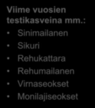 : Sinimailanen Sikuri