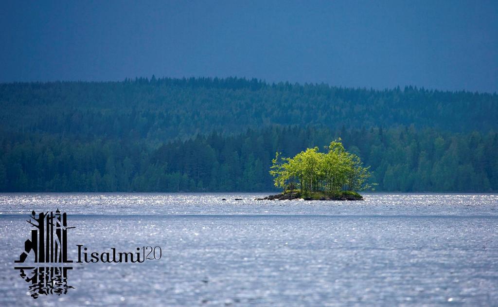 KAAVOITUKSEN HAASTEET JA MAHDOLLISUUDET IISALMEN KAUPUNGISSA SARI NIEMI IISALMEN KAUPUNKI 8.