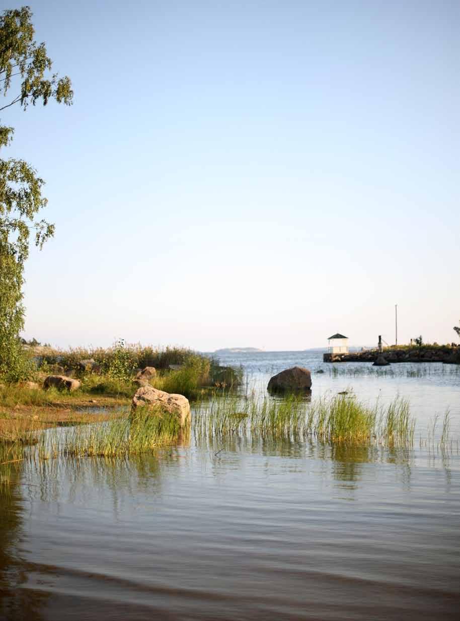 Kotkamills Oy on suomalainen metsäteollisuusyhtiö, jolla on tuotantoa Suomessa ja Malesiassa. Yritys työllistää yli 5 henkilöä maailmanlaajuisesti.