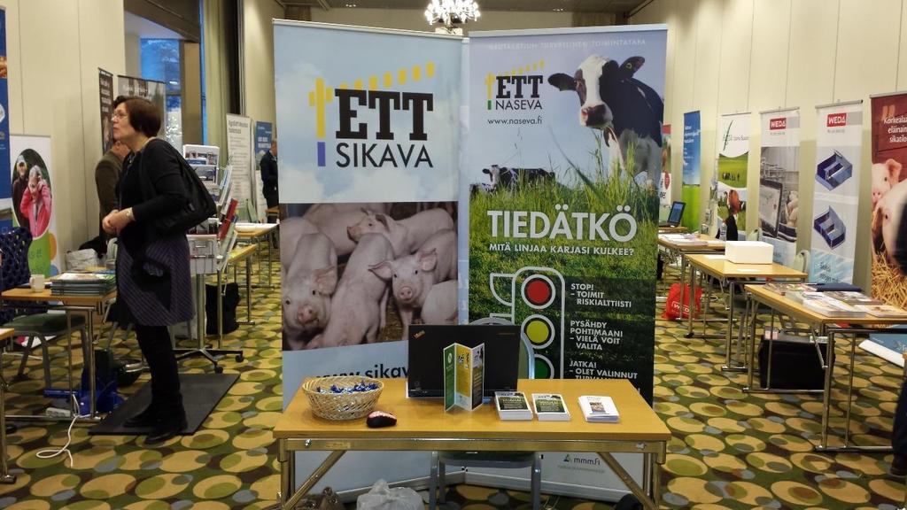 lisättäväksi käyttäytymisen arviointia; emakoiden eläin-hoitaja-suhde ja sikojen tutkimiskäyttäytyminen tarjottua virikemateriaalia kohtaan.