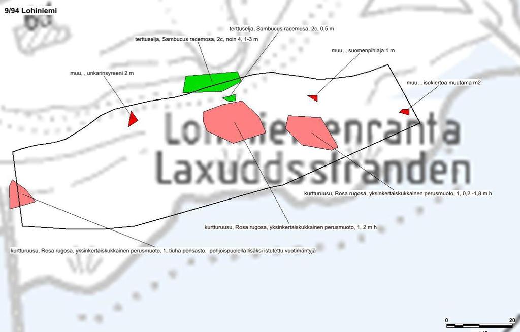 3.7. Lohiniemi